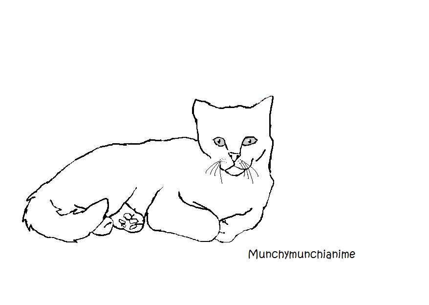Cat laying down BASE by munchymunchianime on DeviantArt