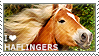 I love Haflingers by WishmasterAlchemist