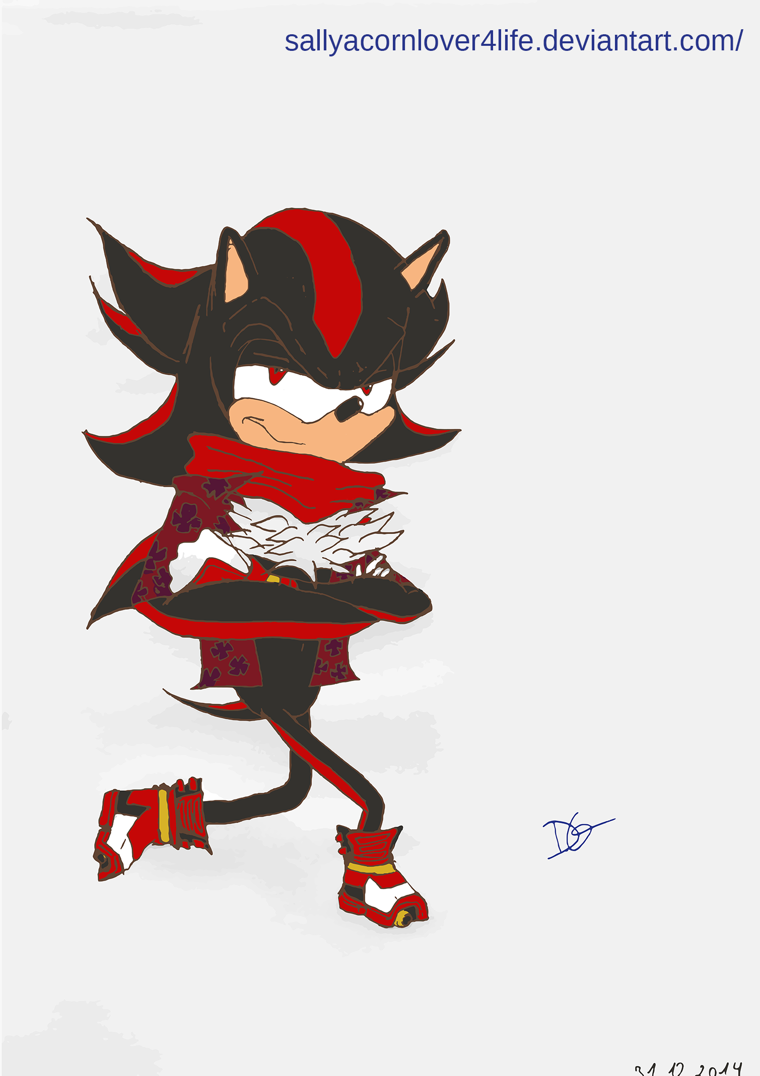 shadow_the_hedgehog_in_sonic_boom_style_