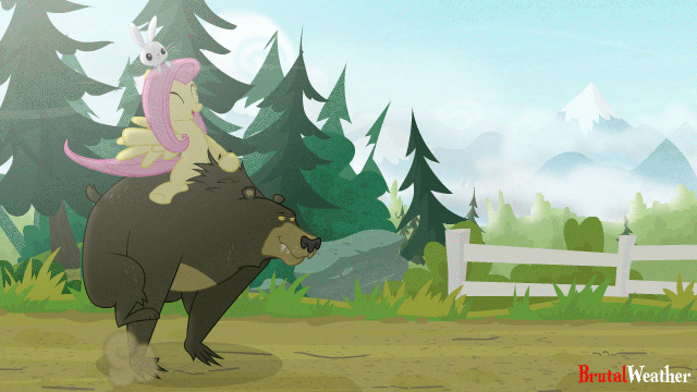 [Obrázek: fluttershy_and_harry_by_brutalweather-db6p6r0.gif]
