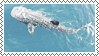 whale_shark_stamp_by_grimire-d98tlot.gif