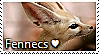 fennec_fox_stamp_by_themoonraven-davv2n5.png