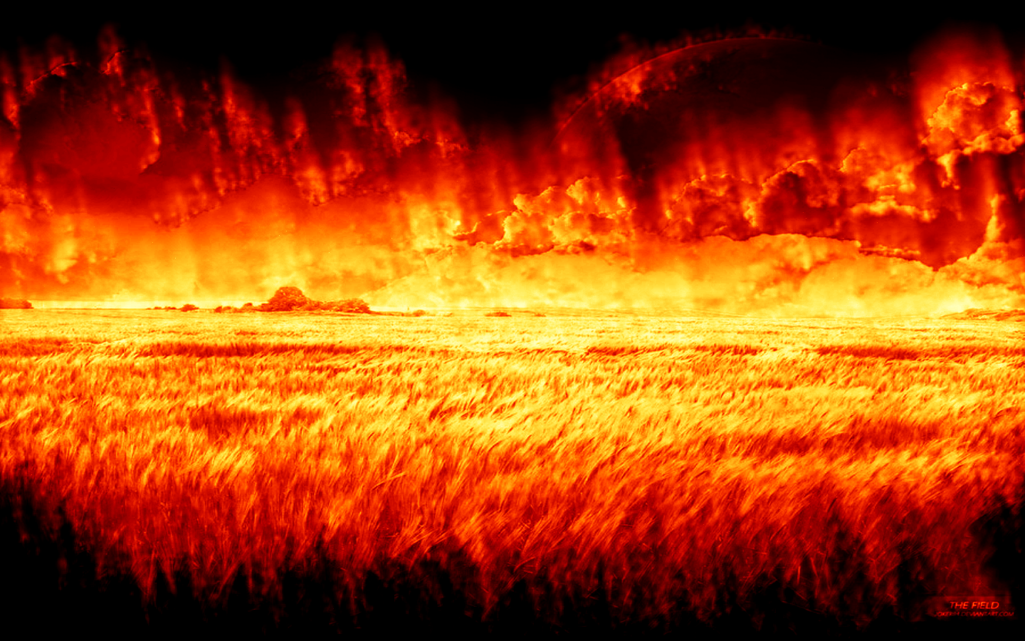 the_field_in_flames_by_signap.png