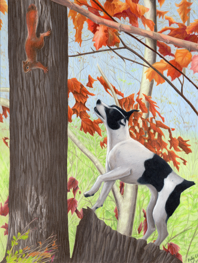 dog_and_squirrel_by_k_pepper-d8nqy9d.png