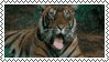 tiger stamp by gunsweat