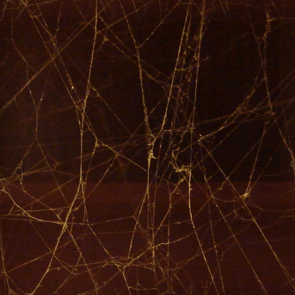 Seamless Spiderweb Texture by FantasyStock on DeviantArt