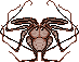 F2U Amblypygid Pixel - Tailless Whip Scorpion by ground-lion