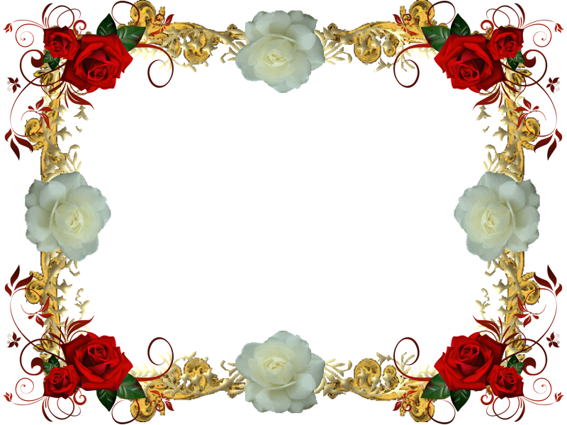 red_and_white_rose_frame_3_by_lady1venus d9qar71
