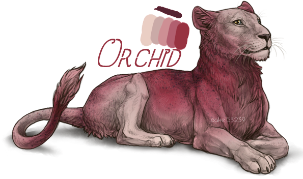 base___orchid2_by_usbeon-dbk1tzj.png