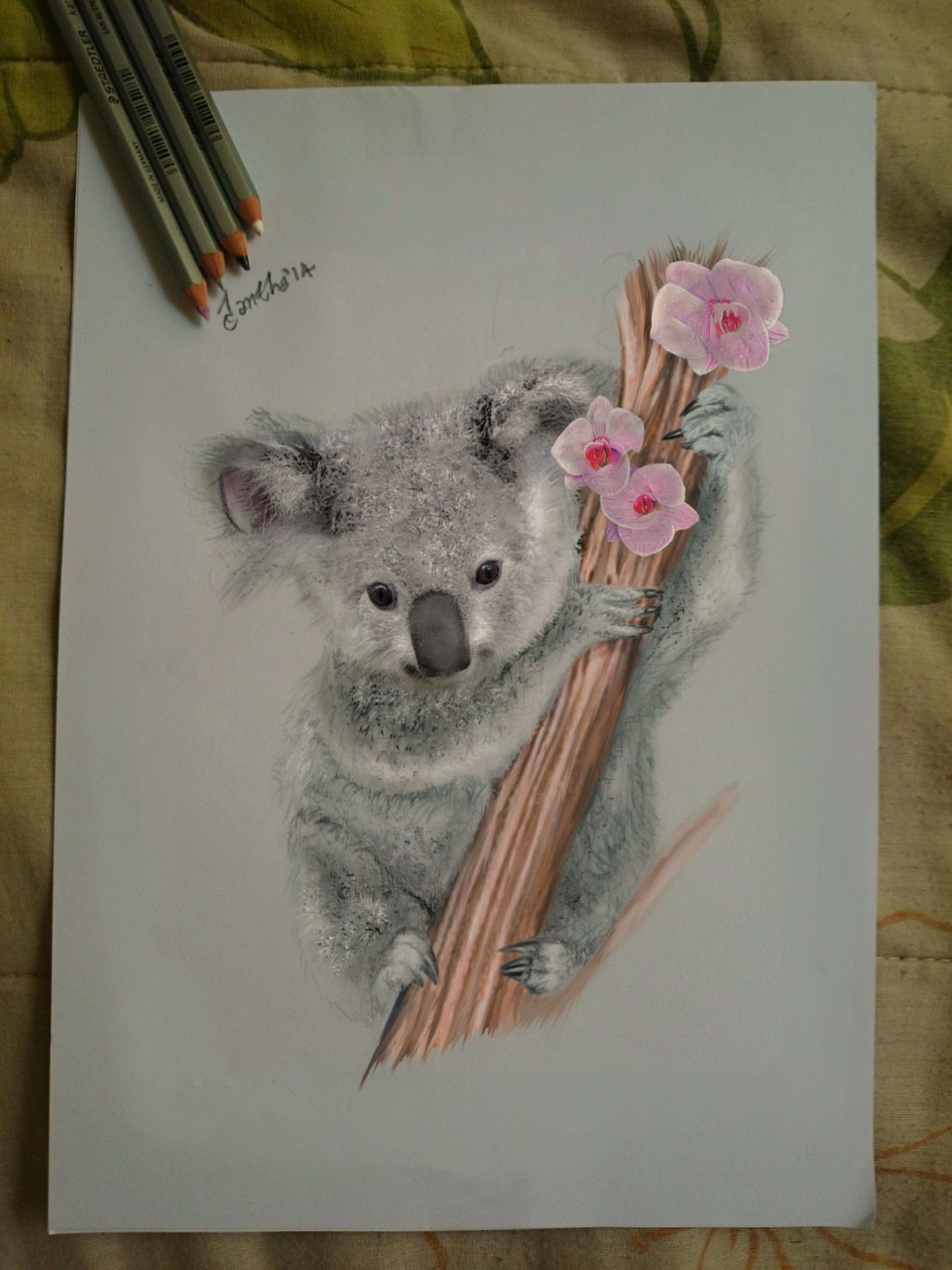 My drawing_ A koala awww by iangeliquein on DeviantArt