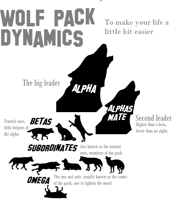 Wolf pack dynamics by Feratu on DeviantArt