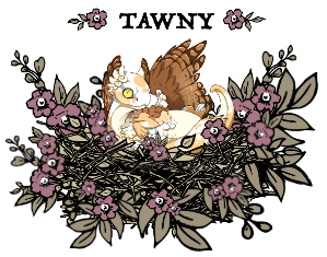 tawnyowlet_by_myserpentine-d9gn0b0.png