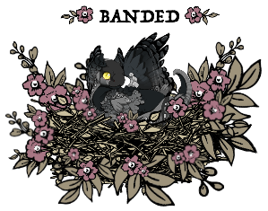 bandedowlet_by_myserpentine-d9gn09i.png