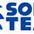 Sonic Team (1998-present) Icon 2/3