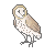 _free__barn_owl_icon__by_mewdeer-d89i8g7.png