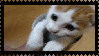 Kitten Stamp by iiiiCrisp